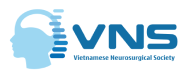 Hội phẫu thuật thần kinh Việt Nam